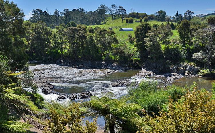 The Waitangi River