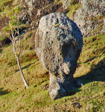 Interesting rock formation - like a person's head overlooking the walkway