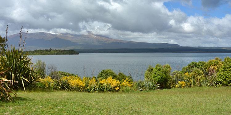 View out over  the lake and Motuopuhi Island