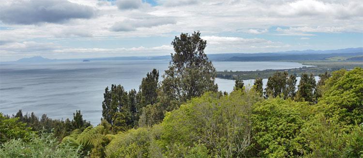 View out over Lake Taupo