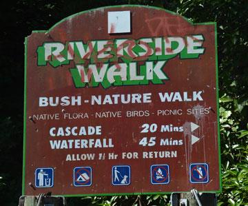 Bush walks sign