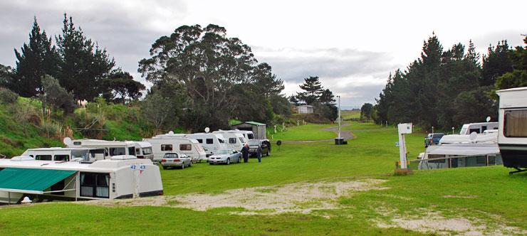 Sheltered, grassed parking area at the Ruakaka Beach Holiday Park