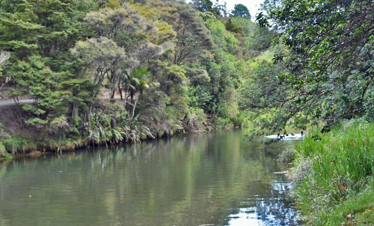 The Ngunguru River