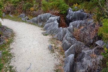 water sculpted rocks along the walkway
