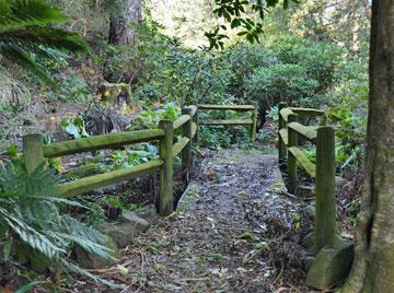 Entrance to the rhodedendron walk