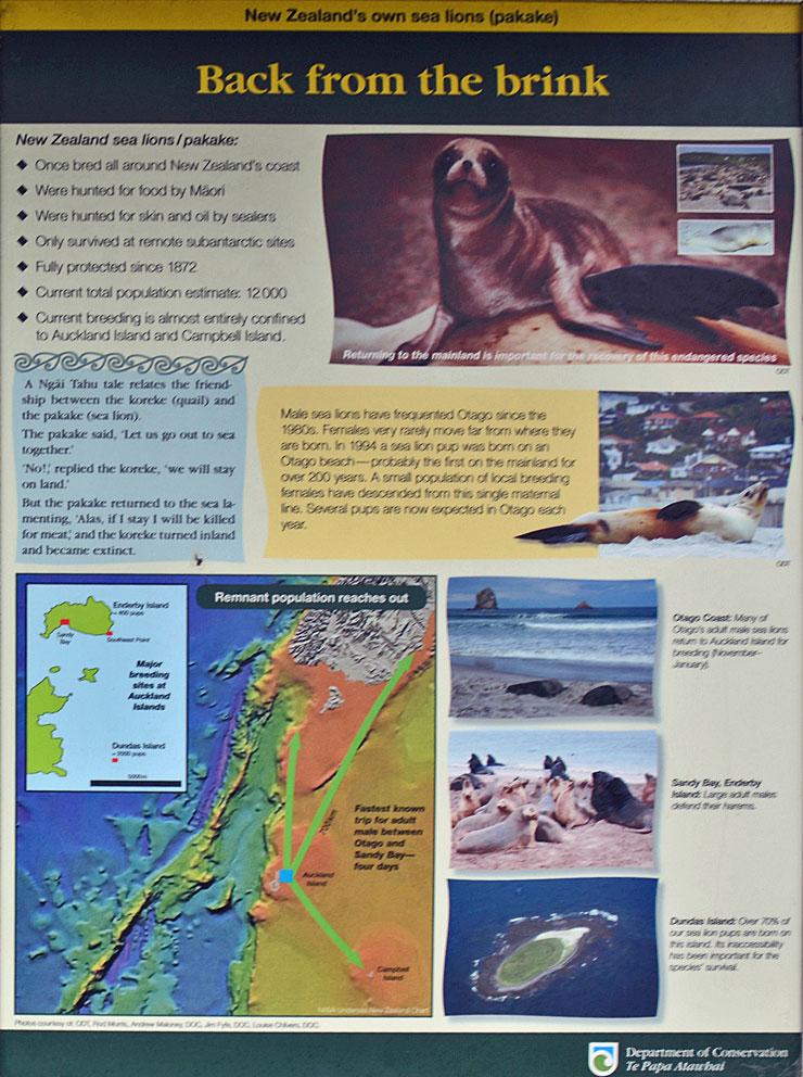 DOC notice about the sea lions