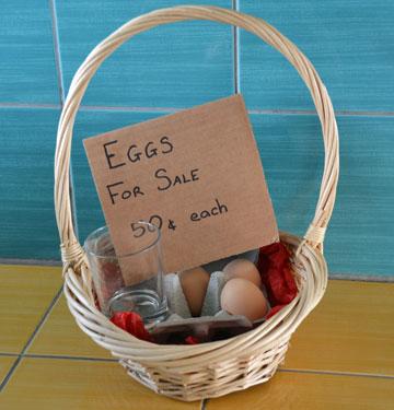 Free range eggs for sale