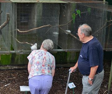Old couple with cockatoo