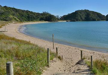 The beach at Matapouri Bay