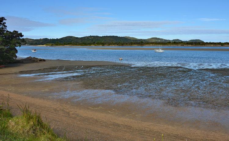 Beach at Ngunguru Estuary