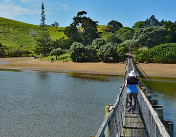 Mid-way along the Whananaki Footbridge