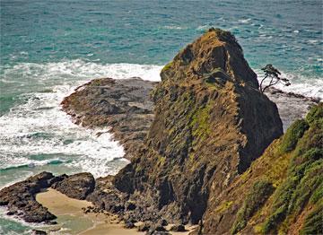 The tip of the North Island - where the Pacific ocean meets the Tasman sea