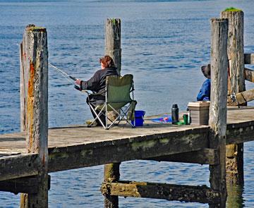 Fishing off the Houhora wharf