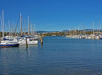 Evans Bay Marina