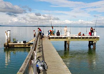 Fishing from the Kauri Point Pier