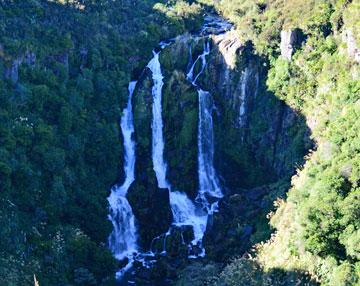 The Waipunga Falls - on the road to Napier