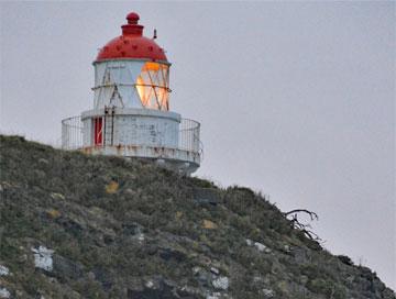 Taiaroa Lighthouse as seen from the Albatross Colony