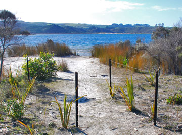 Beach access from the campsite