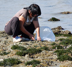 Shuping gathering rock oysters at Tinopai