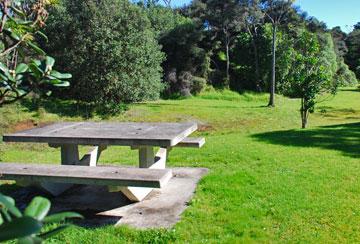 Picnic table in the adjacent reserve