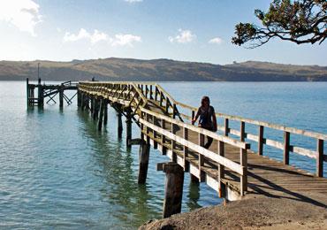 Tinopai Jetty