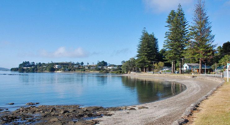 Tinopai shoreline at high tide