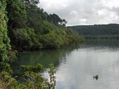 View over the water