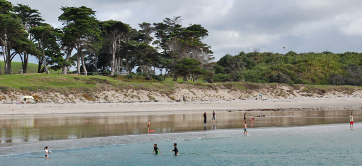 Anchor Bay in Tawharanui Regional Park