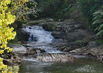 Waterfall in the Matakana River