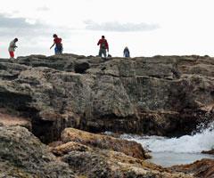 People exploring rock pools