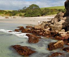 Exploring the rocky foreshore