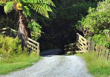 Narrow gravel access road