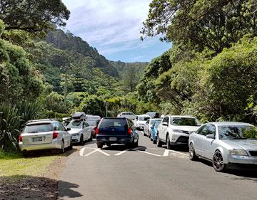 The access road into Karekare