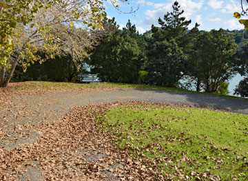 Path to the beach