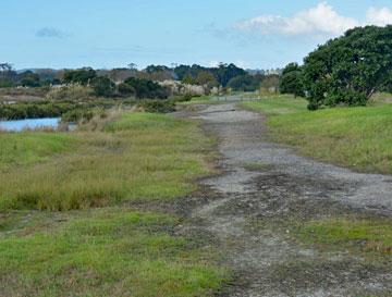 Path down to the estuary