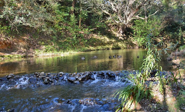 The river on a quiet day