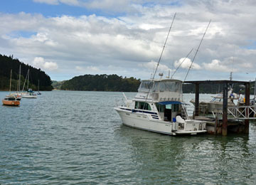 Fishing boat unloading for the day