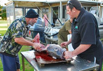 Carving up a large fish caught that morning