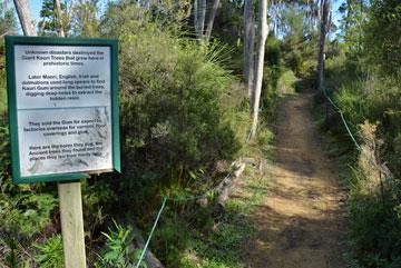 Beginning the walk through the park