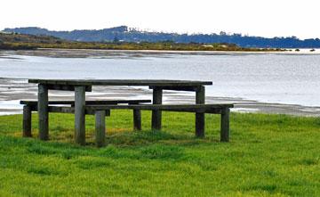 PIcnic table in the reserve