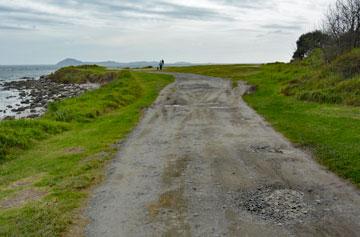 Access driveway into the reserve