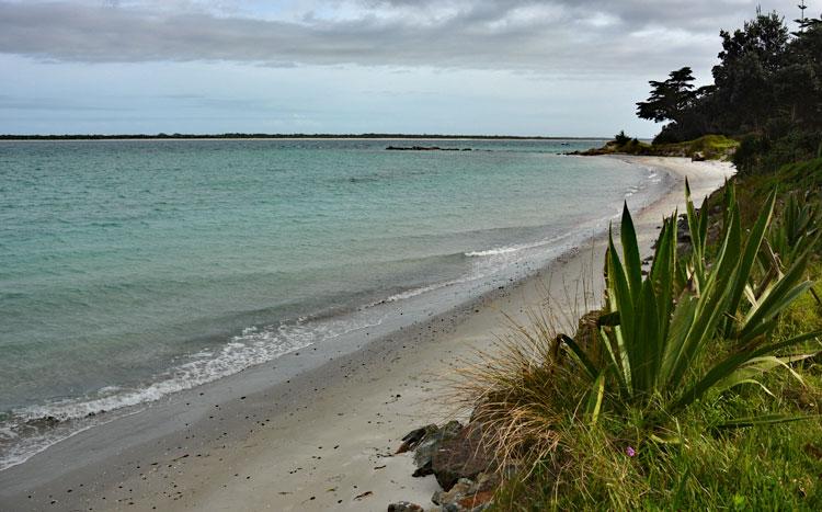 Beach and harbour view