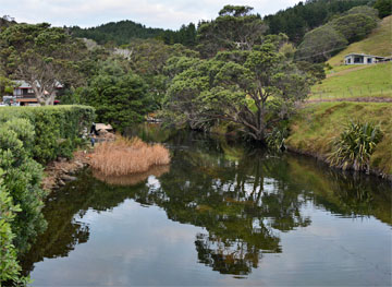 View up the stream running past the lodge