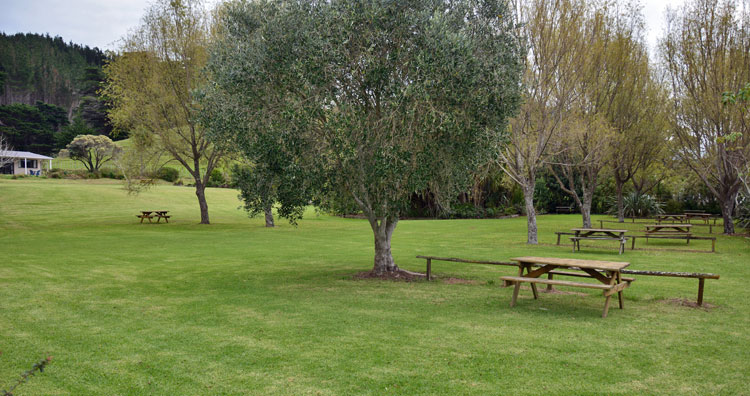 Campsite grounds