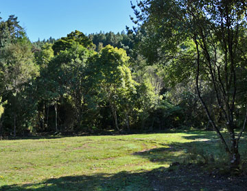 Campsite area