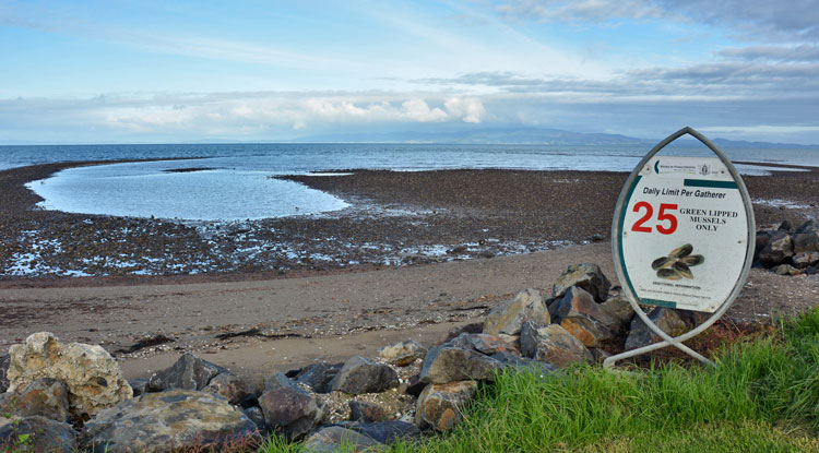 View over the beach