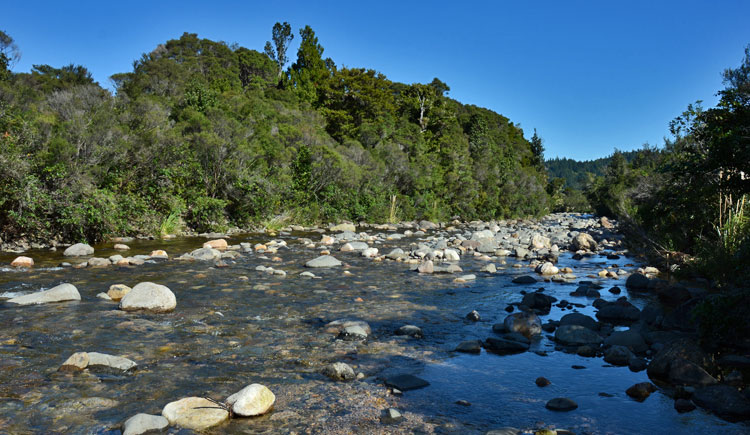 The Kaereranga River