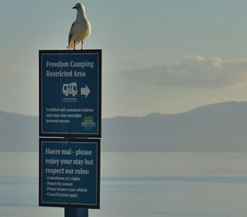 Designated parking area sign