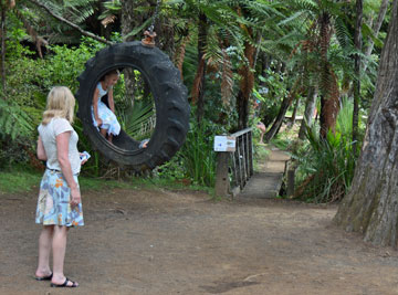 Tyre swing