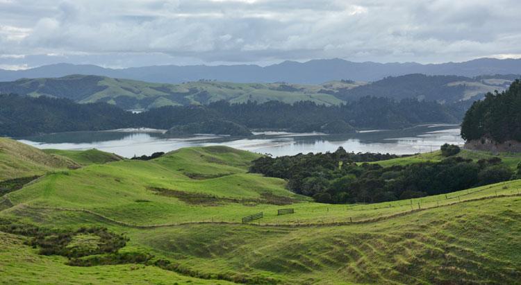 View from the lookout